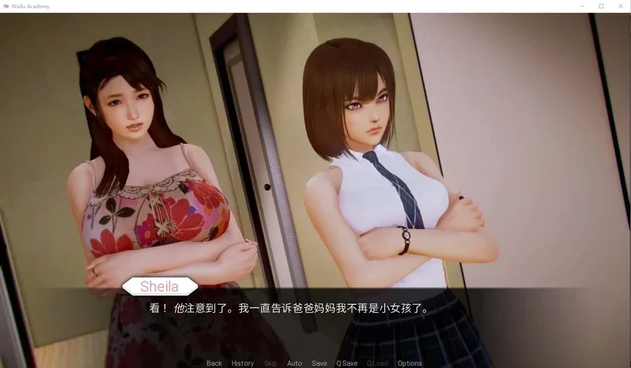 二次元老婆学院_Waifu Academy 角色养成 资料图